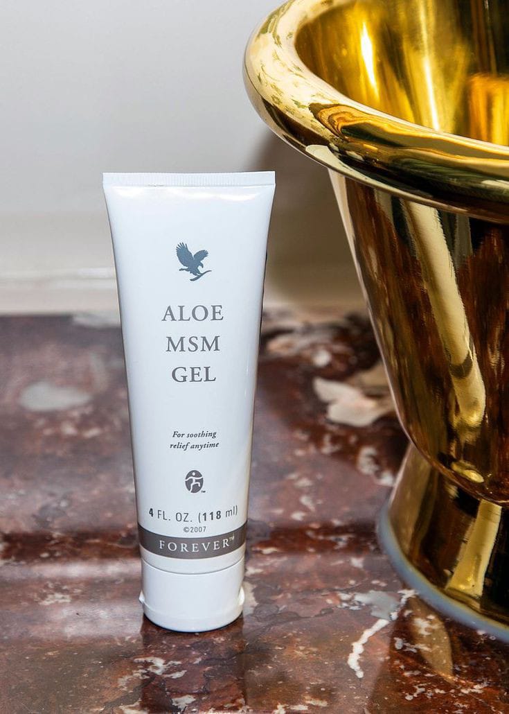 Aloe MSM Gel - 4 fl. oz