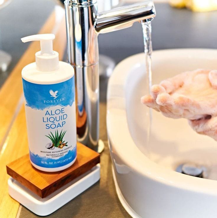 "Aloe Liquid Soap: Gentle Hydration with Every Wash – 16 fl. oz"